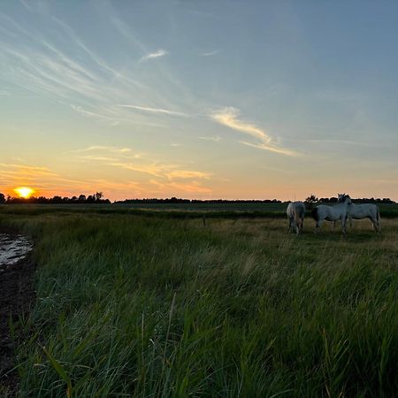 Nedlagt Gard I Naturen Med Ro Og Fred Og Samtidig Taet Pa Strand Og Fiskeri Og Indkobsmuligheder นอร์บอร์ก ภายนอก รูปภาพ