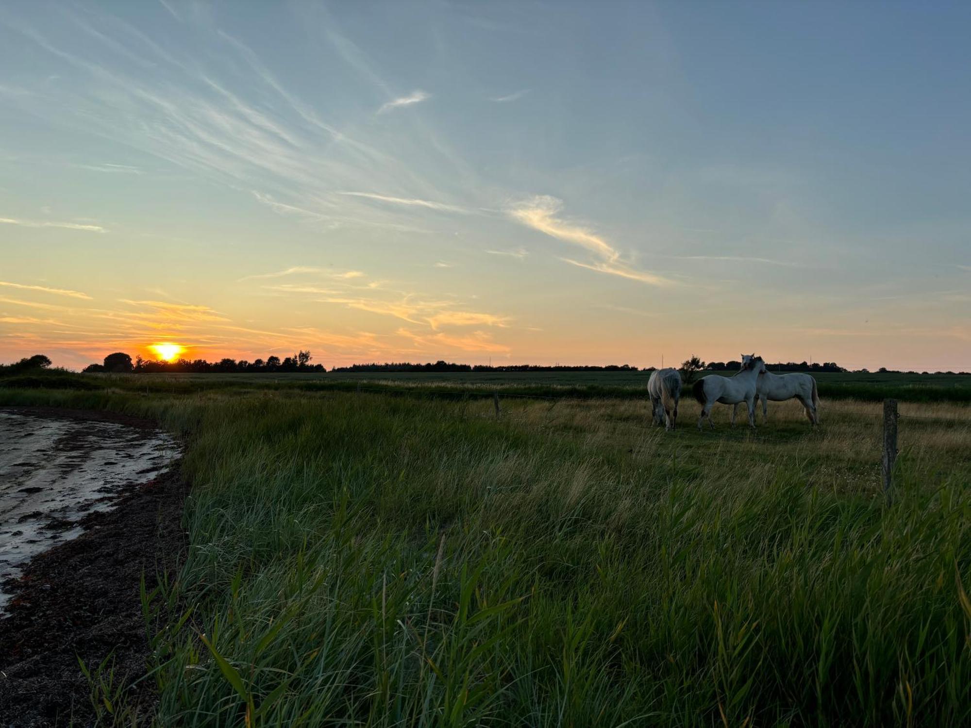 Nedlagt Gard I Naturen Med Ro Og Fred Og Samtidig Taet Pa Strand Og Fiskeri Og Indkobsmuligheder นอร์บอร์ก ภายนอก รูปภาพ